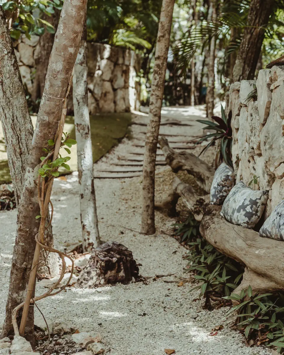 Surroundings of Cachito de Cielo in Tulum — 1 of 11