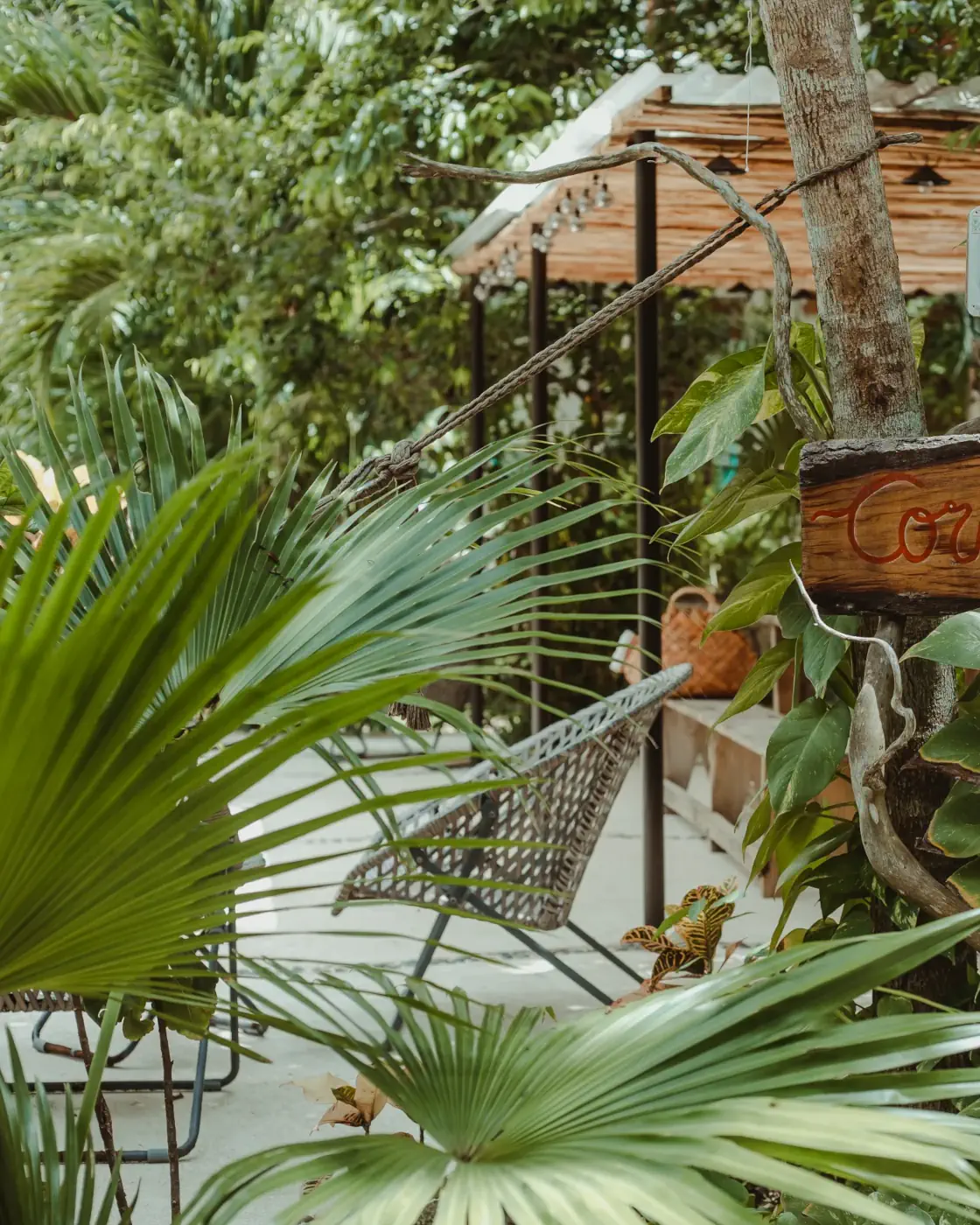 Surroundings of Cachito de Cielo in Tulum — 4 of 11