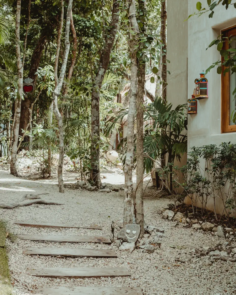 Surroundings of Cachito de Cielo in Tulum — 6 of 11